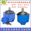 BB-B10 B4 B6 B25 B32 B50 B63 B80 BB40 B125N Bomba de Óleo de Engrenagem Cicloidal Y2