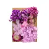 [Paquete de Materiales A5 en Relieve] Flores Secas Flor Eterna Marco de Fotos Paquete de Materiales en Relieve Material Floral DIY Vela de Aromaterapia Flores Secas