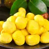 Castañas Crudas Dulces y Pegajosas de Yunnan, disponibles para entrega 1/3/ 2.5kg Barbacoa de Temporada, Fritas en Azúcar, Cocidas al Vapor, Cocidas, Ingredientes para Catering, Verduras Frescas