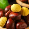Castañas frescas, de temporada, de nueva cosecha, castañas silvestres frescas y tiernas, castañas de granja, castañas no cónicas, castañas pequeñas aceitosas