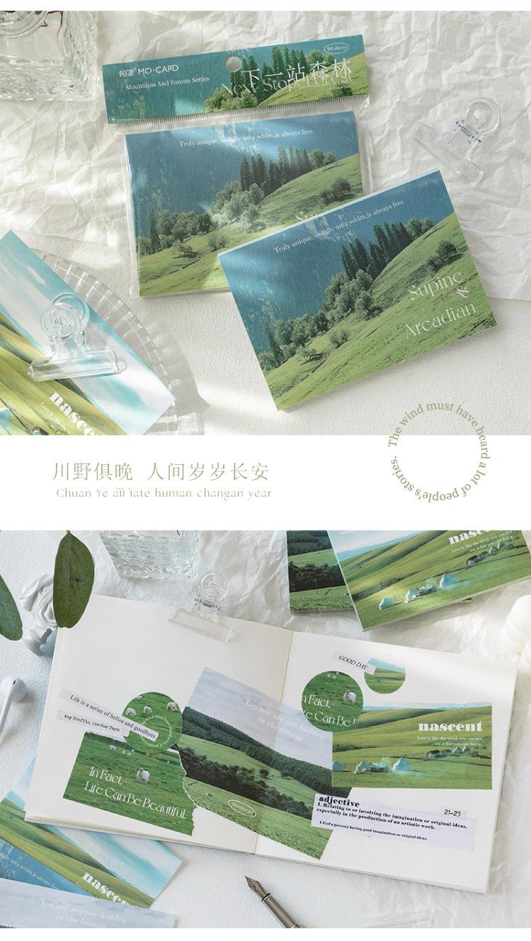 详情8.jpg