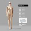 Manequim de Loja de Roupas Adereços Manequins Masculinos e Femininos Estilo Tom de Pele com Base Corpo Inteiro Manequim Humano Suporte Adereços de Exibição