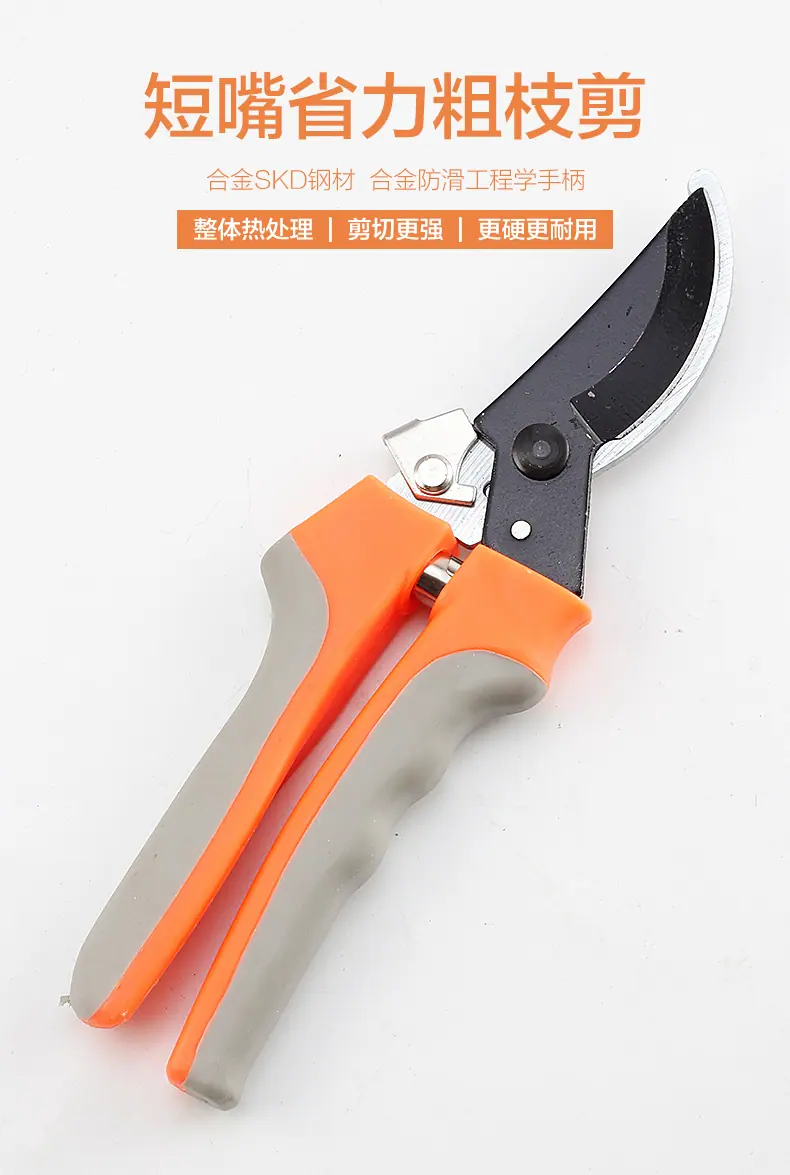 园林剪刀1_01.jpg