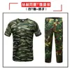Lote de Fábrica Conjunto Completo de Roupas Camufladas de Estudante Traje de Verão Traje Camuflado para Estudantes Universitários Roupas de Treinamento Roupas de Treinamento Militar
