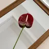 Planta Artificial Anturio Impresa en 3D Decoración de Moda para Paisajismo de Patio Vegetación Modelo Nuevo de Moda Transfronterizo