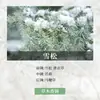 Paquete de Materiales para Velas DIY de Aceite Esencial de Aromaterapia Lámina de Cera Hecha a Mano Difusor de Yeso Fragancia Ligera Fragancia para Hombres y Mujeres