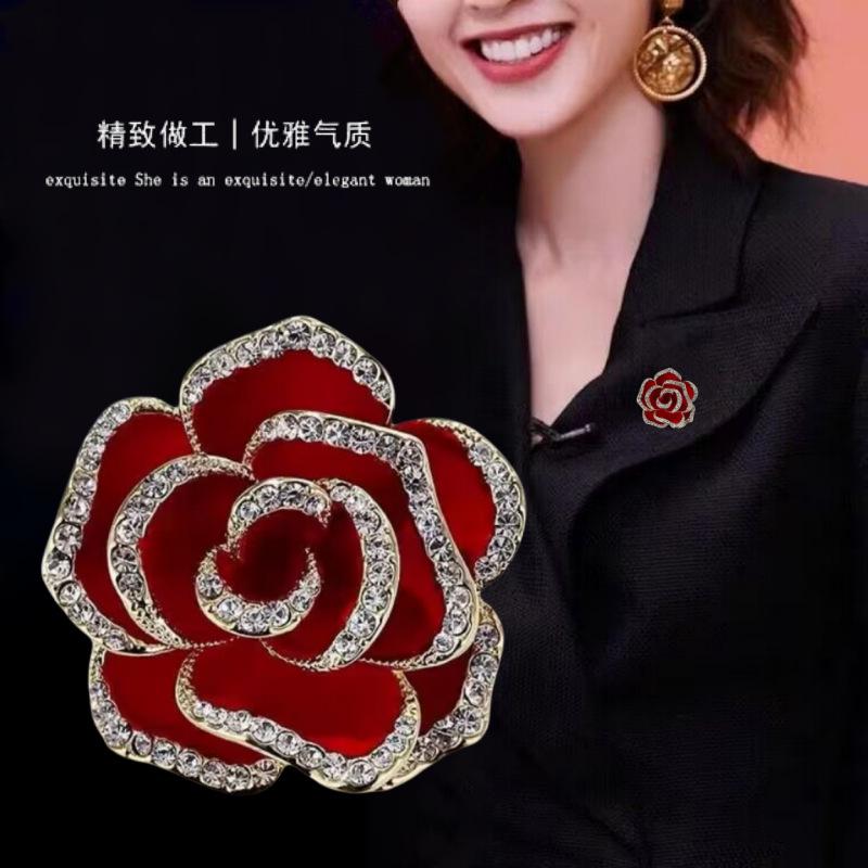 QQ图片20231213144101_副本