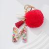 Llavero colgante con letra de pieza de fruta de resina transparente transfronteriza, llavero colgante de bola de pelo roja de moda personalizado