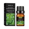 Óleo Essencial de Aromaterapia Desodorizante Transfronteiriço 10ml Máquina de Aromaterapia para Interior Fragrância Duradoura Óleo Essencial de Lavanda para Massagem