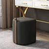 Taburete de Maquillaje Reposapiés Taburete para Cambiar Zapatos Estilo Lujo Ligero Moderno Sencillo Taburete de Tocador Silla de Maquillaje para Dormitorio del Hogar Taburete de Mesa de Café Popular en Internet