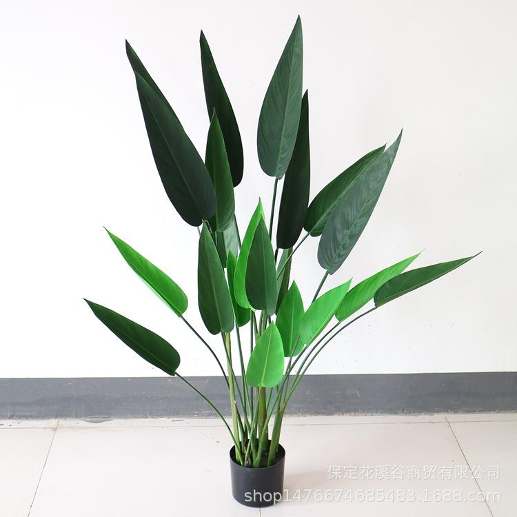 水美人-4尺 125元_副本.jpg