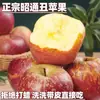 2025 Maçãs Feias Frescas de Zhaotong, Yunnan, Cidade de Zhaotong, Maçãs Feias Coração de Açúcar, Fruta Fuji Vermelha para Grávidas, na Época