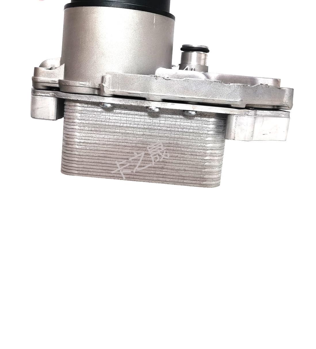 LR040738
