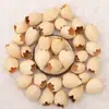 Campanilla de viento material cáscara de fruta Huevo de Fénix Adorno DIY hecho a mano Accesorios Campana de manivela Decoración de escena Accesorios de fruta para plantas
