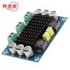 XH-M542 mono 100W placa amplificadora de potencia digital TPA3116D2 placa amplificadora de audio digital 12-26V