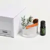 Taza de Vidrio Aromaterapia Aceite Esencial Regalo Creativo para Dormitorio, Aromaterapia sin Llama para una Sensación de Dormitorio de Alta Gama