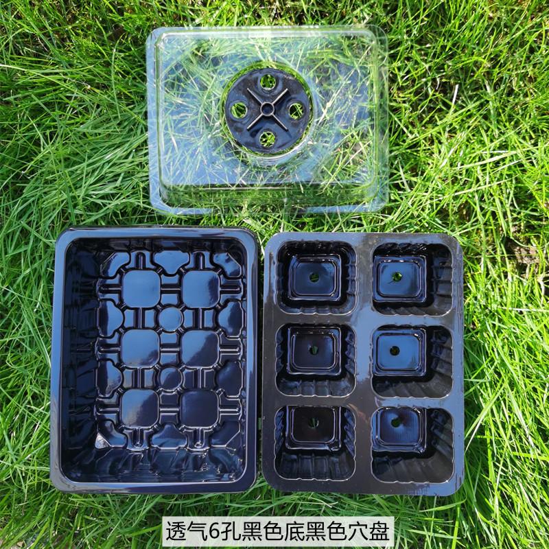 透气6孔黑色底黑色穴盘