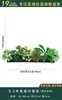 Flores Artificiais Plantas Verdes Conjunto de Divisória Decorativa Flores de Plástico e Seda Decoração de Paisagismo Arranjo de Paisagem Exibição de Janela Interna