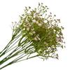 Flor de Plástico Simulada Gypsophila Flor Artificial Ramo de Boda Accesorios de Fotografía Flor Decorativa Amazon Exterior