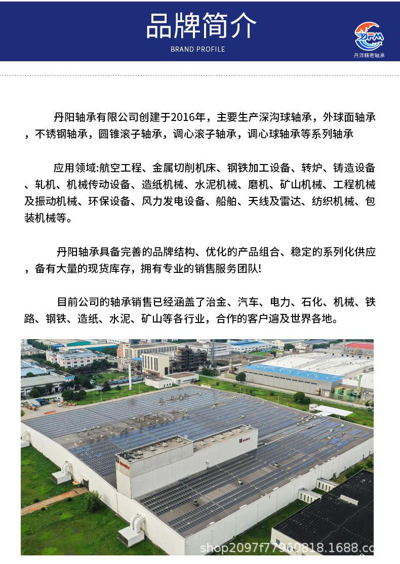 张东平丹洋轴承全陶瓷深沟球_12.jpg