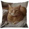 Fundas de Almohada de Gato Más Vendidas en Temu, Fundas de Almohada de Animales Lindas y Divertidas, Fundas de Cojín Decorativas para Dormitorio Hogar Sofá Venta al por Mayor