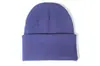 Gorro de Punto Transfronterizo Amazon Más Vendido Suministro Directo de Fábrica En Stock Panel de Luz Acrílico Versátil Europeo y Americano para Adultos Gorro Fluorescente para el Frío