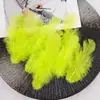 Pluma decorativa DIY al por mayor cabello de mujer pequeña pluma joyería decoración multicolor opcional accesorios de ropa accesorios de juguete para gato