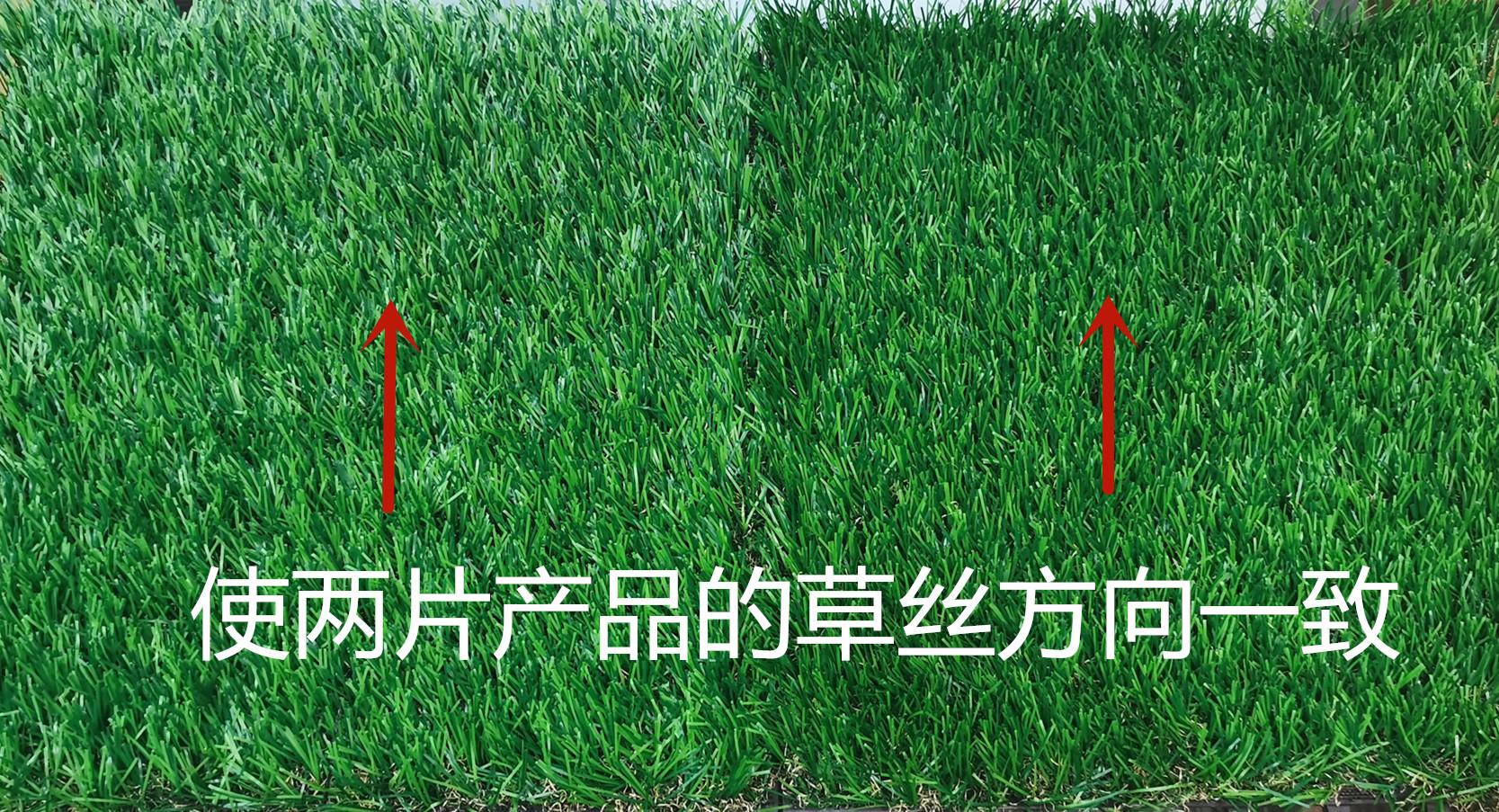 微信图片_20190912174202_副本_副本