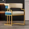 Silla de Maquillaje, Recepción de Salón de Belleza, Sillón Individual, Silla para Salón de Uñas, Silla de Comedor de Lujo Ligero para Mahjong, Otro Metal