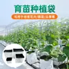 Bolsa de plantación de película PE negra y blanca engrosada para jardín cultivo sin suelo bolsa para plántulas de frutas y verduras bolsa de maceta nutritiva de plástico para granja