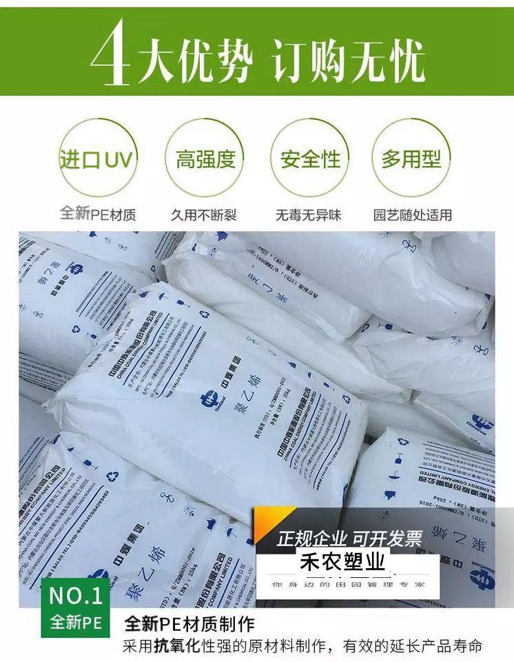 微信图片_20230412205050_副本