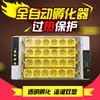 Mini incubadora inteligente totalmente automática para uso doméstico, incubación con un solo toque para huevos de pollo, pato, ganso, codorniz, pájaro y loro