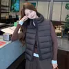Gola alta, colete acolchoado de plumas curto e leve para mulheres, adequado para outono e inverno, uma peça de vestuário externa elegante e da moda