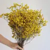 Ramo Eterno de Yunnan Hierba de Cristal Flores Preservadas de Colores Accesorios Florales Decoración del Hogar DIY Flores Secas Accesorios para Fotografía