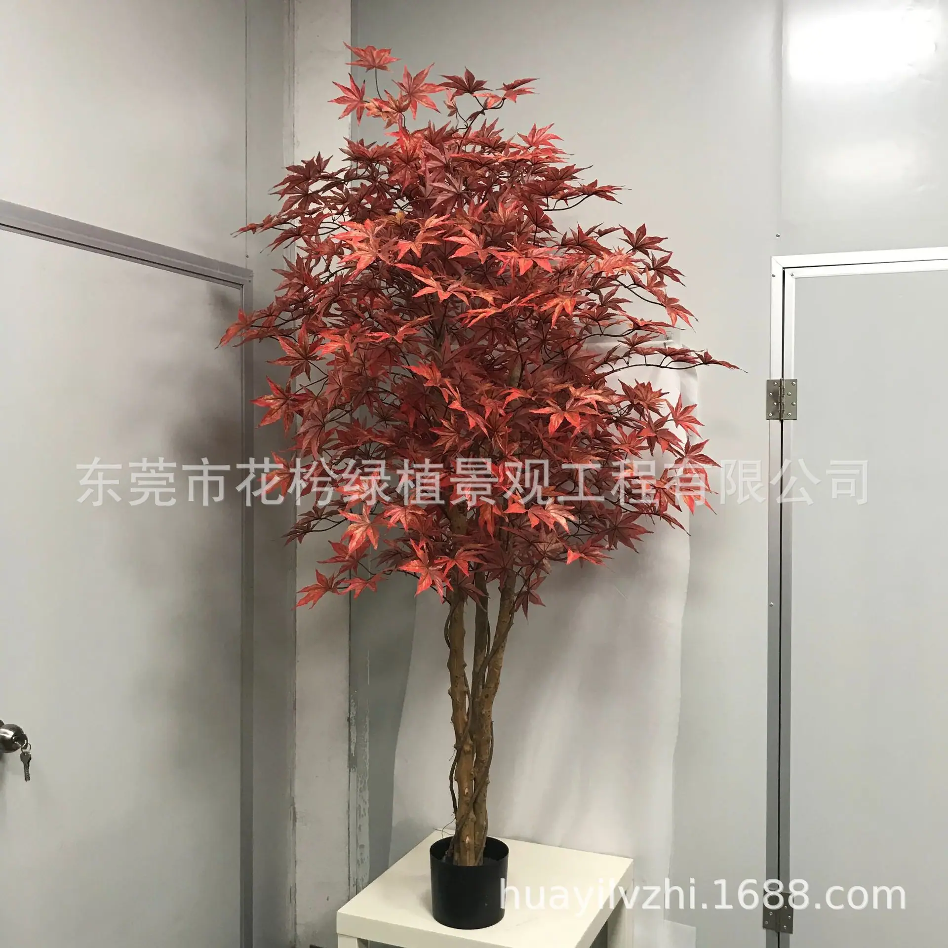 微信图片_2021052809445331