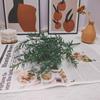 Vendas Diretas da Fábrica Crisântemo Grama Alecrim Simulação Casa Plantas Verdes Sala de Estar Decoração de Quarto Plantas Simuladas Grama de Plástico