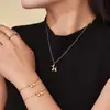 Rueda de la Fortuna Perro Robot de Acero Inoxidable Collar de Circonita Chapado en Oro de 18 Quilates Moda Europea y Americana Joyería Versátil Personalizada