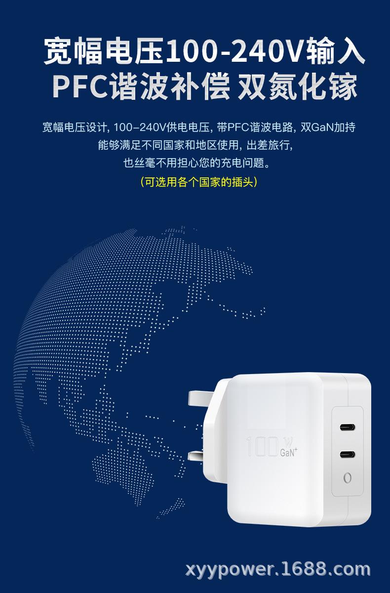 PD100W氮化镓C+C英规