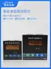 Instrumento com display digital, dispositivo de alarme com display digital, controlador de temperatura, medidor de pressão e nível de líquido, pode ser equipado com RS485