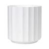 Macetas Decorativas Minimalistas Nórdicas para Balcón y Sala de Estar Transfronterizas, Plantas Artificiales Multitamaño, Plantas Verdes, Macetas Grandes de Diámetro para Piso