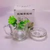Taza de Té de Vidrio Transparente Taza para Beber Juego de Dos Piezas con Tapa Taza para Beber Té Taza de Agua Regalo de Promoción para Eventos Evento