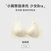 Lencería sin costuras para mujeres con poco busto, ribete de encaje, diseño floral, anti-caída, soporte lateral del pecho, estilo cómodo y dulce, sujetador para chica joven