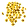 Decoraciones Frescas y Sencillas para Uñas con Resina de Girasol y Pedrería, Accesorios de Decoración de Uñas Portátiles 3D de Margaritas Pequeñas y Girasoles