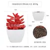 Planta Artificial de Plástico Mini Hecha a Medida Transfronteriza Maceta Adornos de Escritorio Planta de Simulación Plástico Suculento Flor Falsa Planta Verde Bonsái