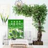 Simulación de árbol de Banyan, árbol falso, simulación de planta grande, hotel, centro comercial, accesorios de boda, árbol de los deseos, paisaje, árbol, decoración de ventanas