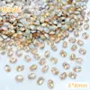Champagne Punta Inferior Diamante Forma Especial Diamante Estilo Mixto Al por Mayor Brillo Joyería para Uñas Xiaohongshu Diamante para Uñas Usable Uñas Al por Mayor