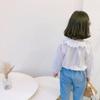 Camisa infantil de manga comprida nova para primavera e outono, camisa com gola de renda, camisa lisa de cor sólida, camisa de boneca, uma geração de cabelo