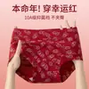 Pantaletas de Algodón Puro Estampadas Sin Costuras para Mujer Prevención de VPH Estampado de Oso Transpirables para Niñas de Cintura Media que Levantan los Glúteos Antibacterianas