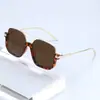 Estilo Nuevo Lisos Doble Puente Marco Grande Anti Luz Azul Gafas Retro Gafas de Sol Marco Grande Celebridad de Internet Gafas de Sol para Fotografía Callejera Venta al por Mayor