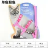 Coleira com Peitoral Estampado para Gatos de Estimação para Passeio, Coleira para Gatos British Shorthair, Ragdoll, Siamês e Gatos Tigrados
